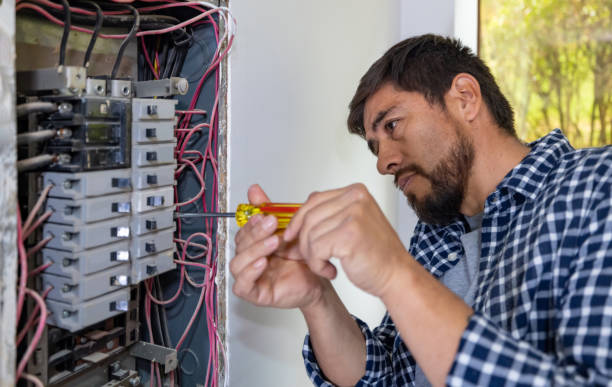 Best Electrical Panel Upgrades  in New Martinsville, WV